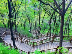 -大岭沟猕猴桃谷风景区