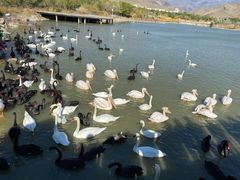 -新疆天山野生动物园