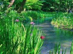 -西湖风景区十里琅珰-五云山