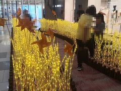 -鹏欣水游城