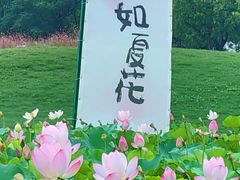 -嘉北郊野公园