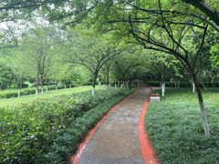 -龙头寺公园