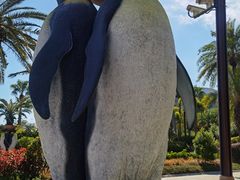 -帝企鹅自助餐厅•儿童岛•真企鹅(长隆企鹅酒店)