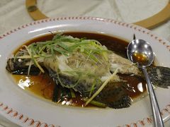 -凤城礼记鱼翅海鲜酒家(新马路总店)