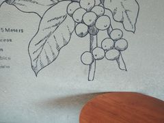 -星巴克(宝山万达店)