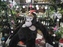 -花语咖啡