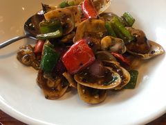 -顺德了能馆(虎门店)