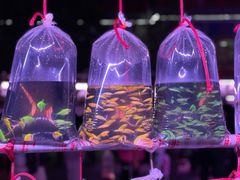 -华声天桥民俗文化园