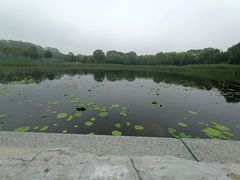 -北坞公园