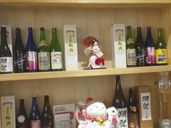 -一本钓鲔鱼屋