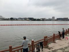 -云溪植物园
