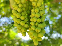 -终南山南五台景区