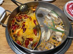 -青瓷火锅料理(西单大悦城店)