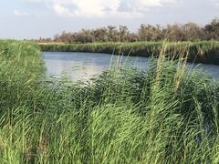 -亿利库布其七星湖沙漠生态旅游区