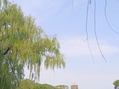 -北京大学-燕南食堂