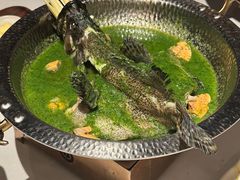 -狮拾久·现代新加坡料理(福田COCO Park店)