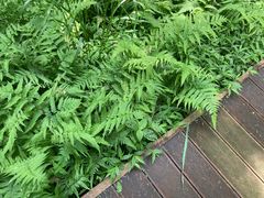 -同里国家湿地公园