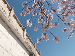 -苏州上方山国家森林公园
