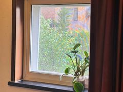 -若石足道SPA 连锁(丹东街店)