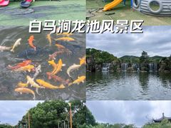 -白马涧龙池景区