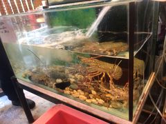 -大树下海鲜饭店