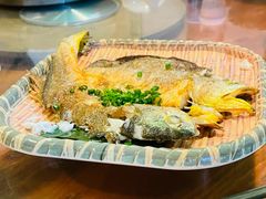 香煎黄花鱼-和记菜馆