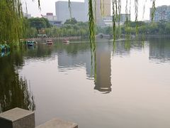 -文瀛公园