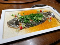 -金成潮菜博物馆(海珠湿地店)