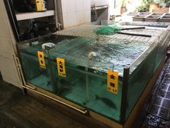 水产区-寻味顺德·南记酒家·传统顺德菜·鱼生(广源路店)