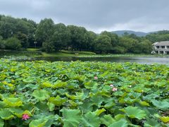 -苏州环秀晓筑养生度假村