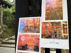 -常寂光寺