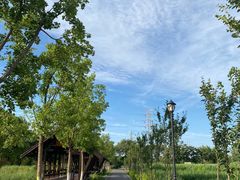 -永定河休闲森林公园