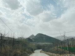 -仙蘑洞