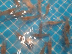 -星伦多自助料理(江阴万达店)