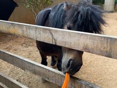 -舟山希尔顿酒店