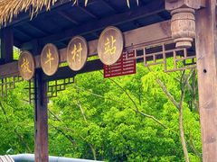 -南山植物园