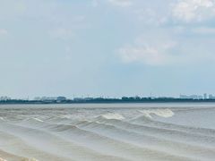 -观潮胜地公园