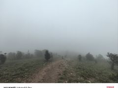 -清溪森林公园