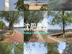 -丁香湖公园