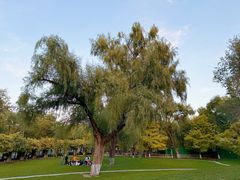 -清华大学-观畴园餐厅
