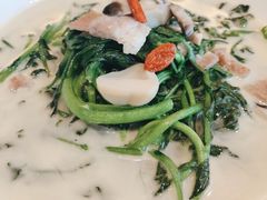 -蛇口希尔顿南海酒店·随轩中餐厅·粤菜