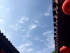 -百好乐宠物友好餐厅(朝外大街店)