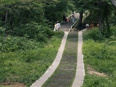 -青龙山国家森林公园
