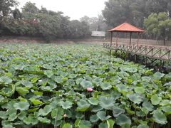 android_upload_pic-意大利农场度假村