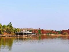 -上海海湾国家森林公园