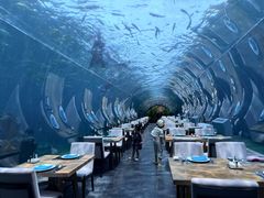 -海棠湾洲际-涛·海底餐厅·美人鱼·自助餐·海底隧道