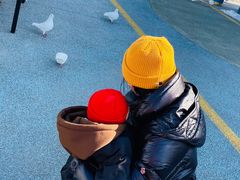 -烟台海昌鲸鲨海洋公园