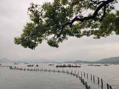 -杭州湖滨in77