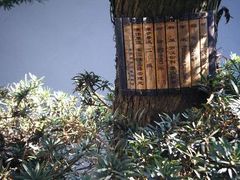 -苏州东山雕花楼宾馆