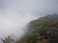 -阳台山自然风景区
